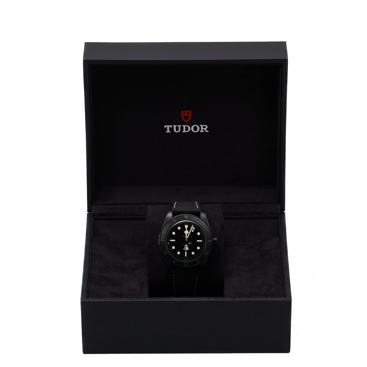 TUDOR SPECIAL PROJECT TECHNICAL SURVEILLANCE UNIT - 79210CNU - Watch - 41mm 073dfaf3-1fa4-44cc-a021-3d56e34a5da9.jpg
