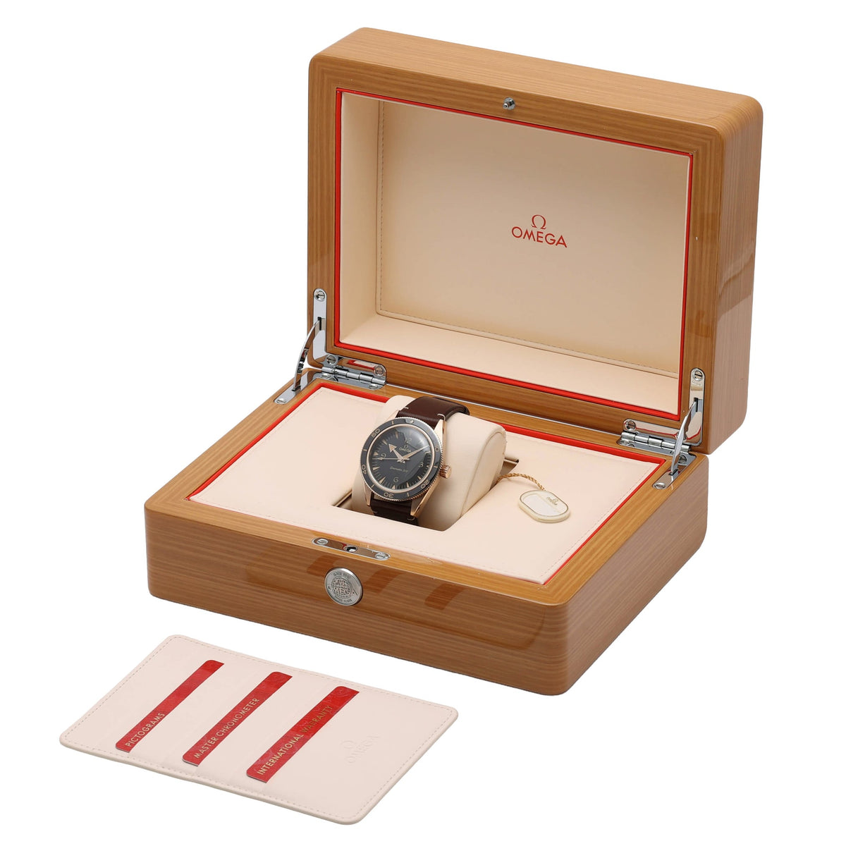 OMEGA SEAMASTER  - 234.92.41.21.10.001 - Watch - 41mm 954e3637-5aaf-415f-be76-eb366523eec0.jpg